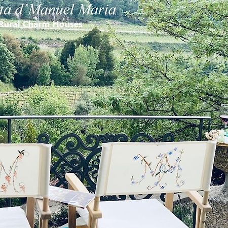 Amarante-Quinta D'Manuel Maria, Rural Charm Houses Extérieur photo