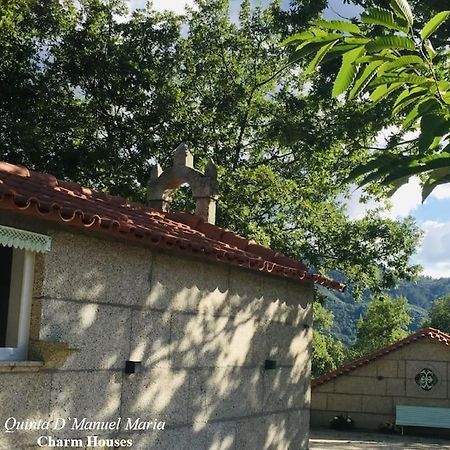 Amarante-Quinta D'Manuel Maria, Rural Charm Houses Extérieur photo
